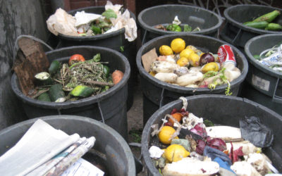 De voedselketen van verspilling